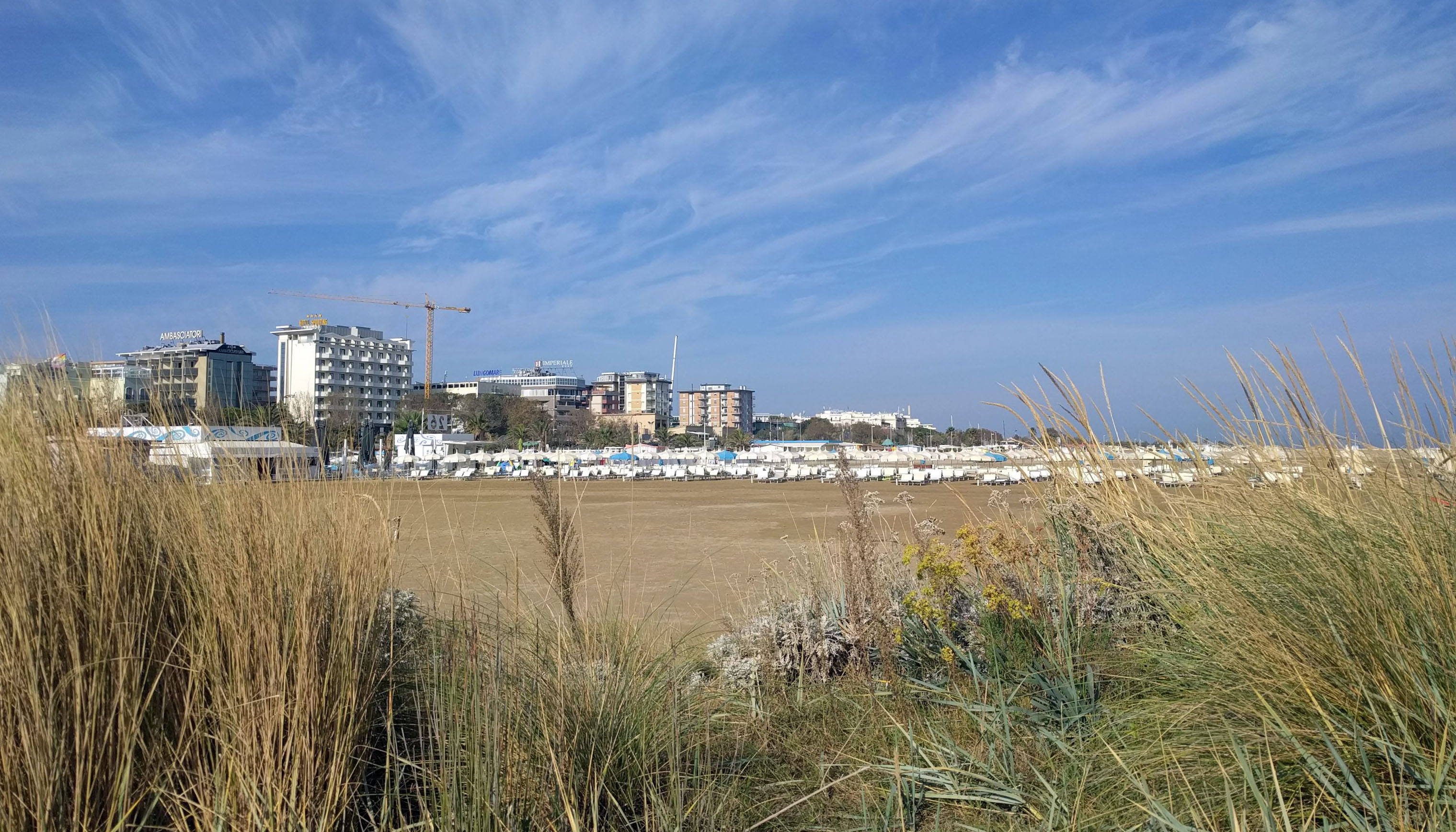 Photo beach grass in foreground, beach, multi-storey houses in background