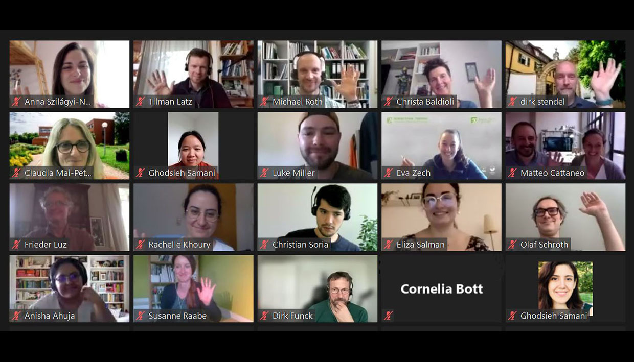 screenshot online conference