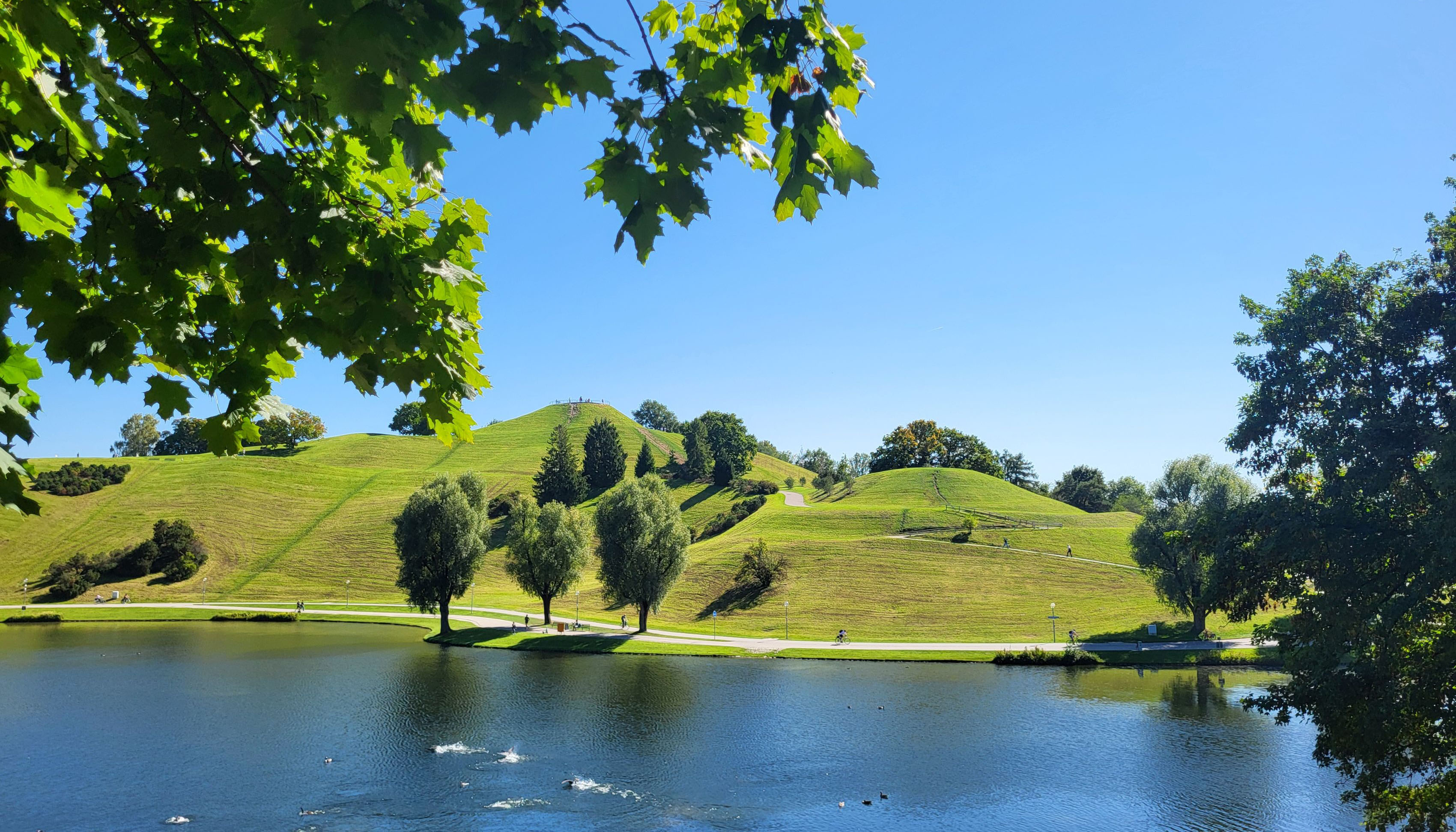 Photo. A lake can be seen in the foreground. Grass-covered hills with trees can be seen in the background. Branches with leaves can be seen in the upper left corner of the picture. There is a tree on the right side of the picture.