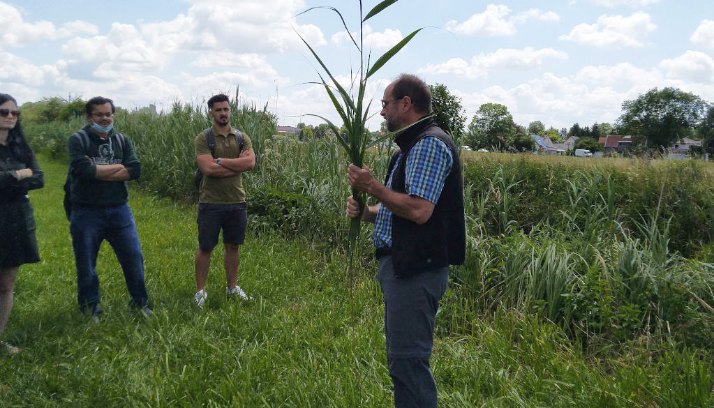 Professor, in the field, teaching students